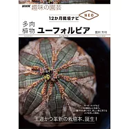 多肉植物 ユーフォルビア