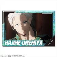 WIND BREAKER&mdash;防風少年&mdash;D全息徽章：17.梅宮一