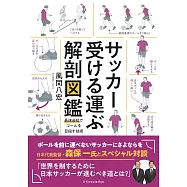 サッカー受ける運ぶ解剖図鑑