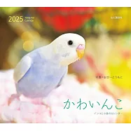 可愛鸚哥與小鳥2025年月曆