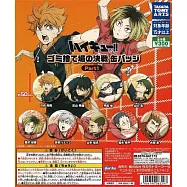 排球少年!!垃圾場的決戰徽章P1(全9款)