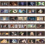 葬送的芙莉蓮底片風卡片(1包)