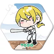 失憶投捕六角形胸章：D 藤堂葵