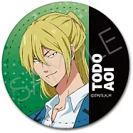 失憶投捕皮質胸章：C藤堂葵