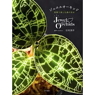 ジュエルオーキッド