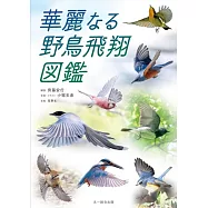 華麗なる野鳥飛翔図鑑