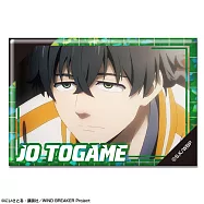 防風少年全息徽章：防風25.十龜條B