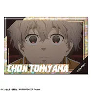 防風少年全息徽章：22.兔耳山丁子C