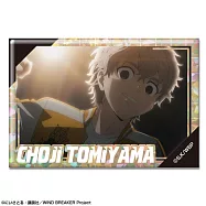 防風少年全息徽章：21.兔耳山丁子B