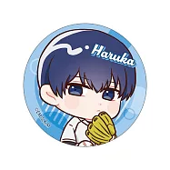 失憶投捕胸章：清峰葉流火