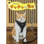 元野良猫チャチャの毎日