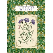 小巧精裝插畫圖鑑手冊：草花
