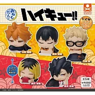 轉蛋 排球少年睡眠公仔：新色篇(全5款)