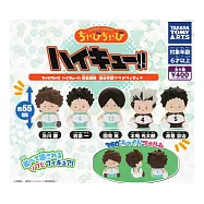 轉蛋 排球少年青葉城西&梟谷胖呼呼軟膠公仔(全5款)