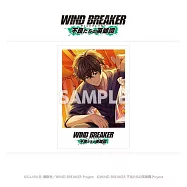 WIND BREAKER收藏卡不良英雄：十龜條