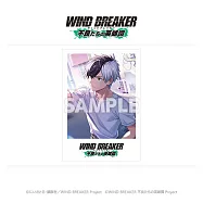 WIND BREAKER收藏卡不良英雄：櫻遙