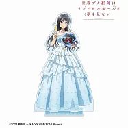 青春豬頭壓克力立牌：Birthday 櫻島麻衣