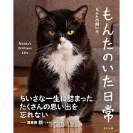 もんたのいた日常