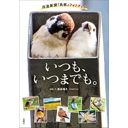 丹波新聞社野鳥評論&寫真手冊