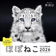 貓科動物2026年月曆
