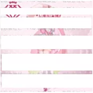 櫻初音AMP+公仔 櫻花洋裝ver.