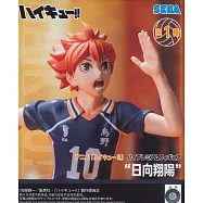 排球少年 High Premium 日向翔陽
