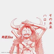 ONE PIECE航海王 ED「その未来」收錄「その未来/ハロー」期間生産限定盤(動畫盤) 時速36km