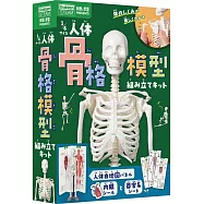 1/6人體骨格模型組裝專集