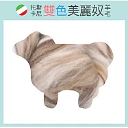 托斯卡尼-雙色美麗奴羊毛-DDM813卡布奇諾