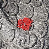 麥麥大節慶-龍運亨通(紙書籤) 3件/組