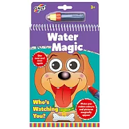 英國GALT 神奇水畫筆- 猜猜誰的眼睛?