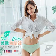 GIAT台灣製超彈力透氣美臀蜜桃內褲-低腰款 F 果綠