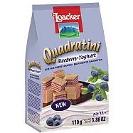 【萊佳】方角哈斯餅-藍莓優格味(110g)(到期日:2026/10/01)