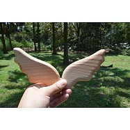 【一郎木創館】美容刮痧板、臉部按摩刮痧