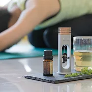 Bone 蹦克 搖搖擴香木 擴香台 - 忍者金賀