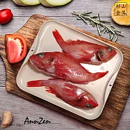 【AnnZen】《杉山金屬》日本製-日本快速解凍盤