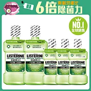 李施德霖 綠茶防蛀護齦漱口水(5件組) (750ml x2+250ml x3 加贈100ml x1)(到期日2024/08/16)
