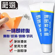 嚴選 專業無痕防水補牆膏/修牆填縫膏/裂痕修復膏 250g/1套