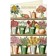 美國 Cavallini & Co. Greeting Cards 卡片/生日卡 _花店