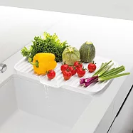 《TESCOMA》雙面瀝水盤 | 餐具杯盤墊 隔水墊 流理臺墊