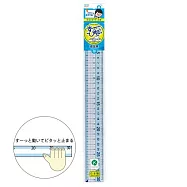 Raymay 零距離30cm直尺