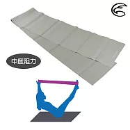 ADISI 皮拉提斯彈力帶 AS17069 (中度阻力) / 瑜珈 健身 阻力帶 拉力帶 灰色/中度阻力