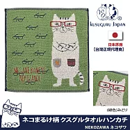 【Kusuguru Japan】日本眼鏡貓NEKOZAWA貓澤系列手交插款絨毛刺繡提花毛巾手帕 -綠色