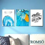 TROMSO北歐生活版畫有框畫-里約藍調WA201(三幅一組)