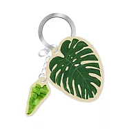 種籽設計《龜背芋》造型一卡通