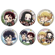 【日本正版授權】全套6款 鬼滅之刃 花鳥風月(極) 徽章 日本製 別針/胸章 334815