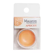 KUSAKABE|馬卡龍 固體水彩顏料 杏色