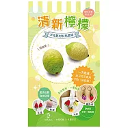 【Hobby Easy】繽紛水果系列!(含羊毛氈超值全材料包套組，附別針、鑰匙圈，全程影音教學) 清新檸檬