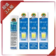 【SUNLIFE森萊富】鋅+C+E發泡錠(水蜜桃口味 X 3入/共60錠)