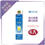 【SUNLIFE森萊富】鋅+C+E發泡錠(水蜜桃口味 X 6入/共120錠)